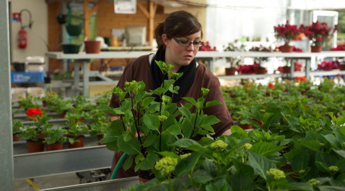 Commerce en Jardinerie – Fleuristerie