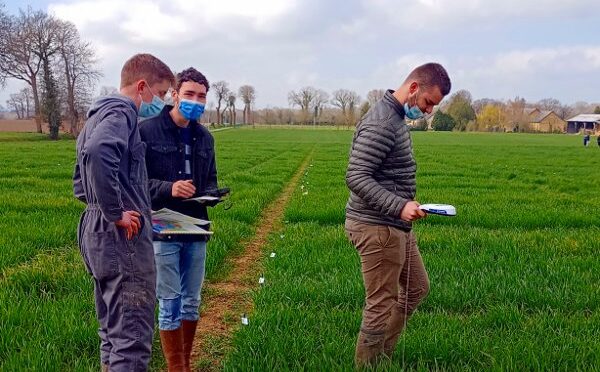 Agriculture – BTS ACD (ex APV)