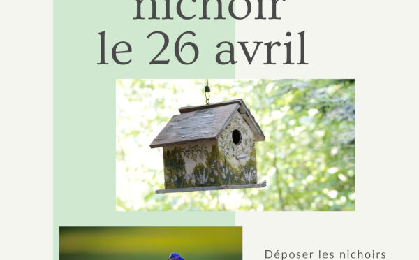 Participez au concours de nichoir !
