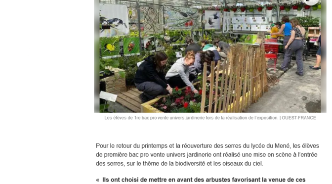 Biodiversité et oiseaux du ciel !