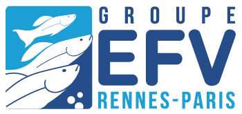 EFV : Visite d’un grossiste en poissons d’ornement
