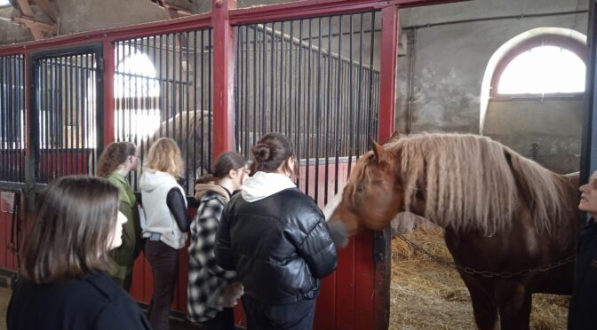 OPTION ÉQUITATION à Dinard !