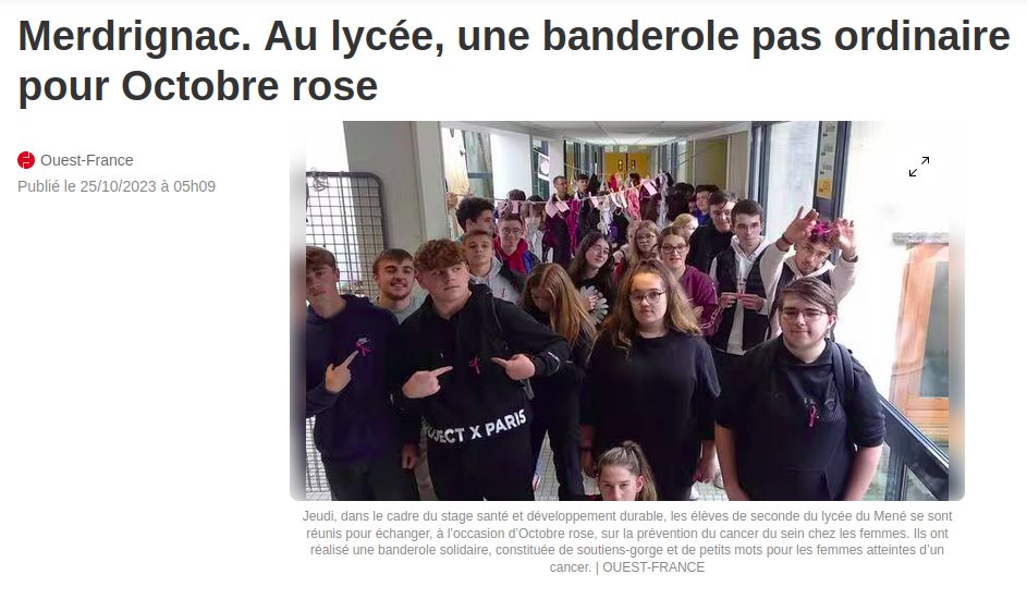 Merdrignac. Au lycée, une banderole pas ordinaire pour Octobre rose