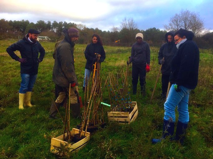 Implantation de fruitiers pour les BP Horticulture
