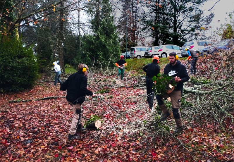 TP bois des premières et Terminales Bac pro AP