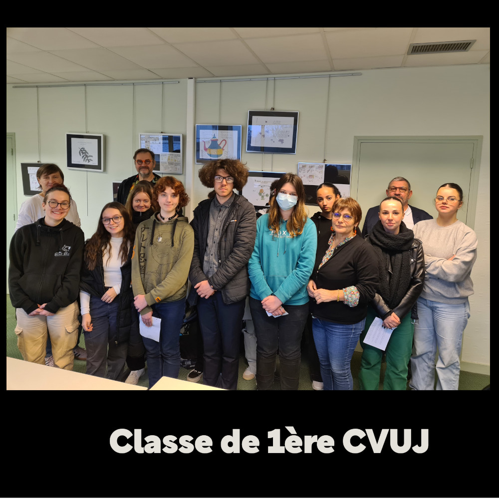 Activité BD avec les premières TCVUJ