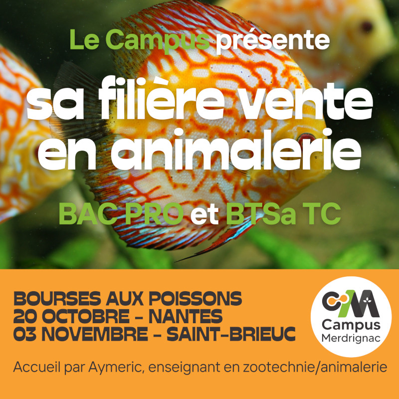 Présentation de la filière animalerie