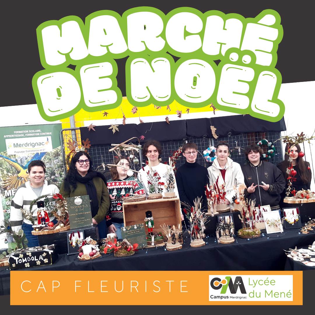 Fleurs et paillettes pour les fêtes avec les CAP fleuristes