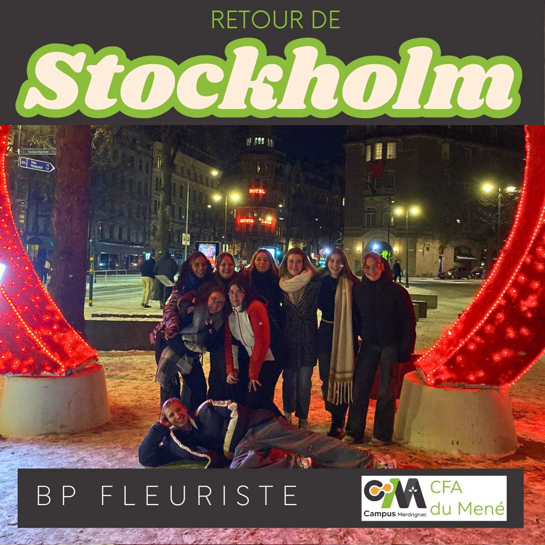 Les apprentis fleuristes en immersion à Stockholm : une expérience professionnelle et humaine inoubliable