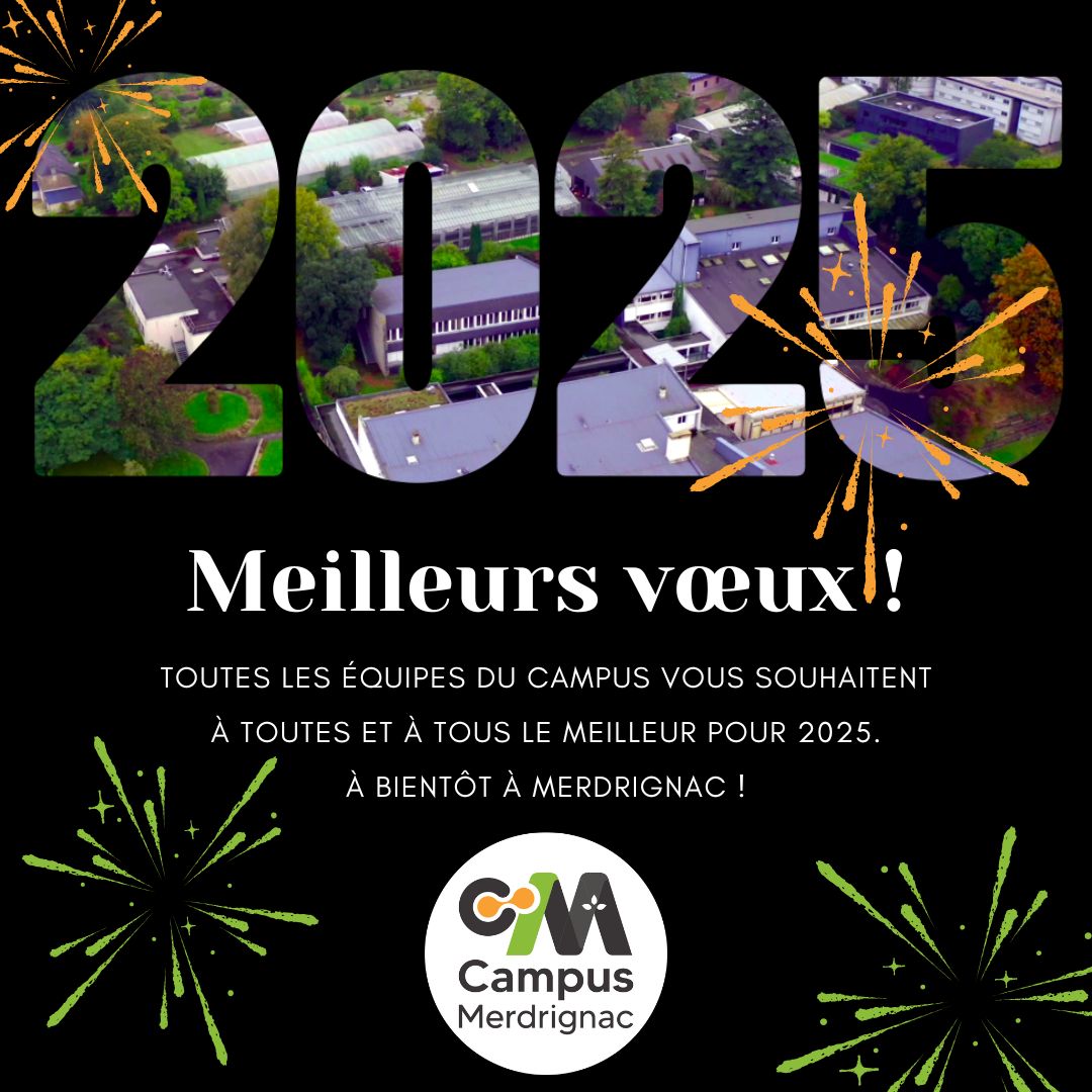 Meilleurs vœux pour 2025 !