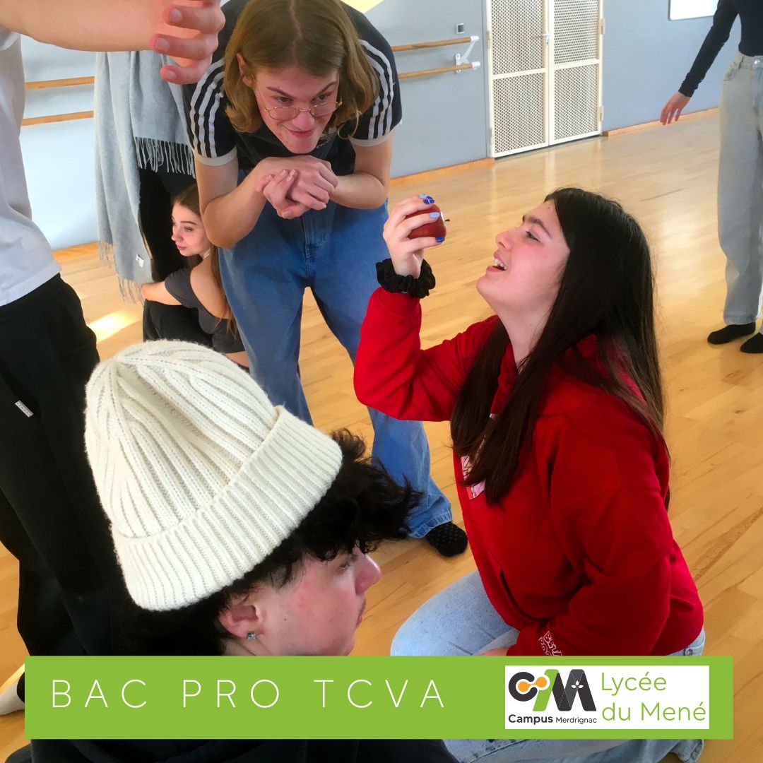 Projet théâtre avec les Term CVA