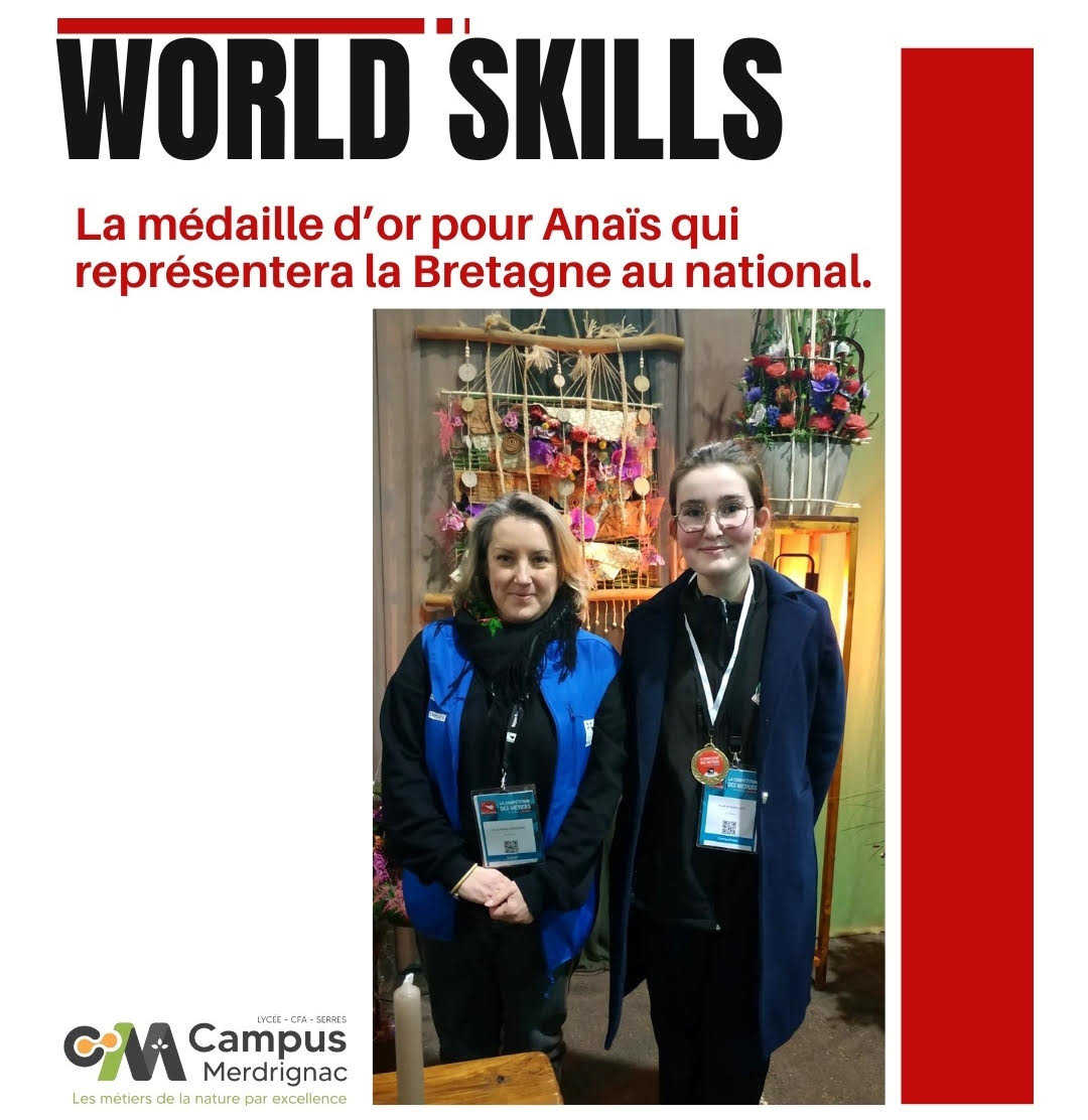 Médaille d’or au concours WorldSkills