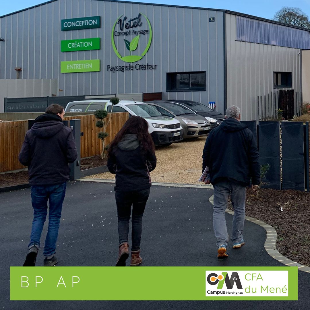 Rencontre avec les pros pour les BP AP !