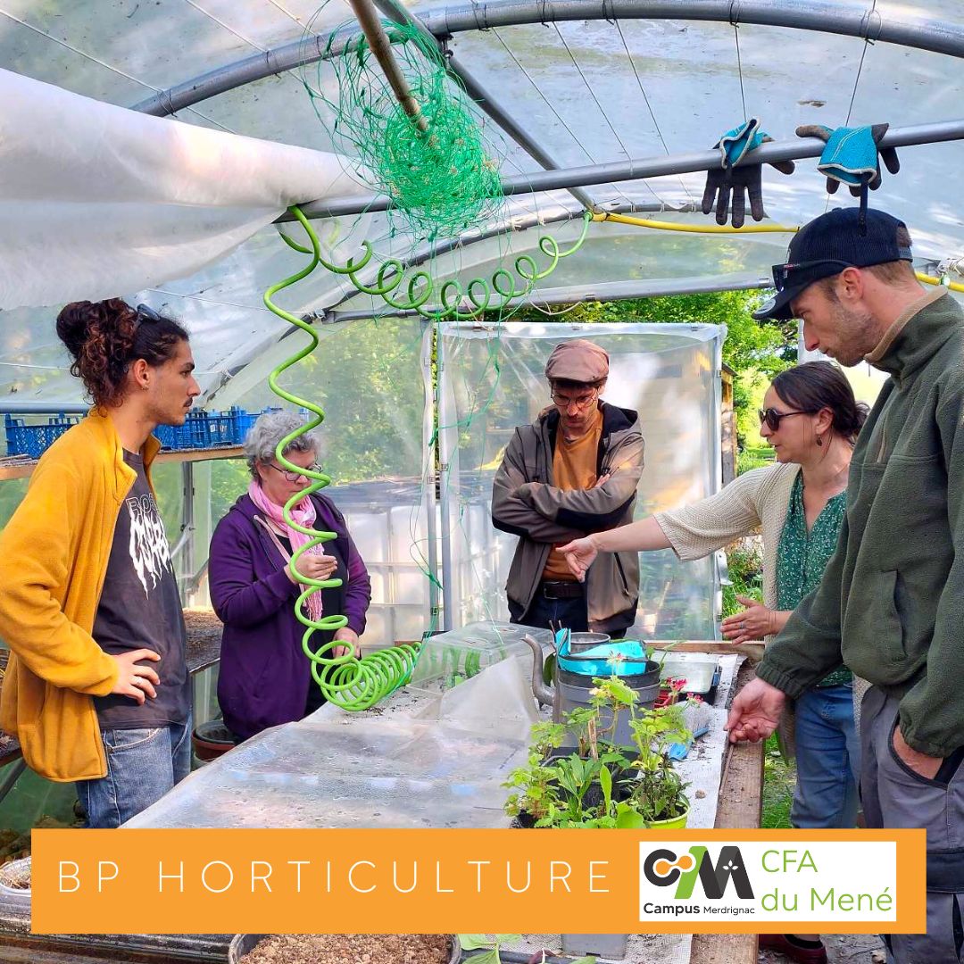 BP Horti : Visite de deux fermes de permaculture