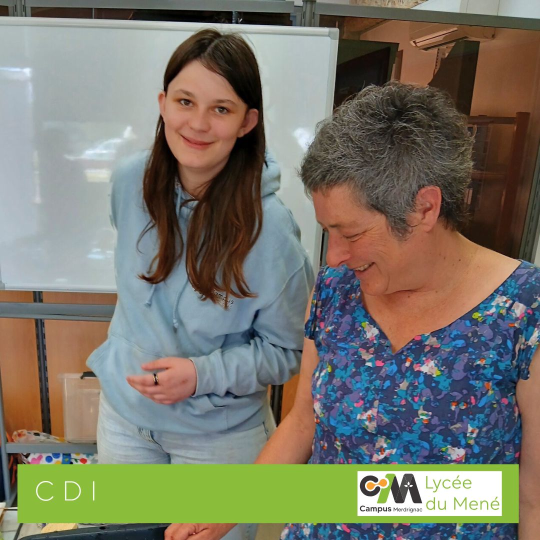 Atelier Cyanotype à la médiathèque de Merdrignac