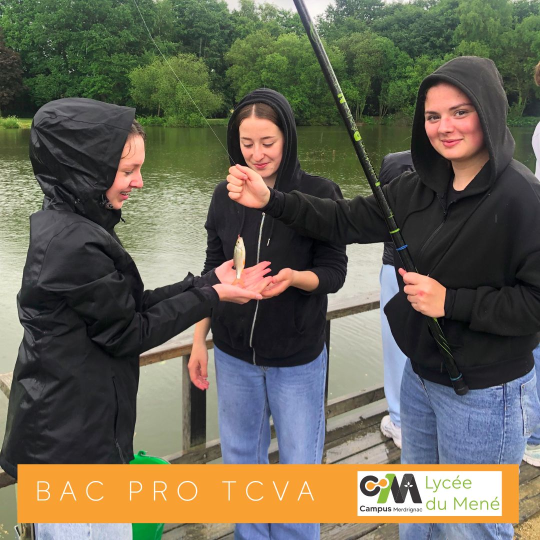 SSDD : Organic Worms et Maison de la pêche