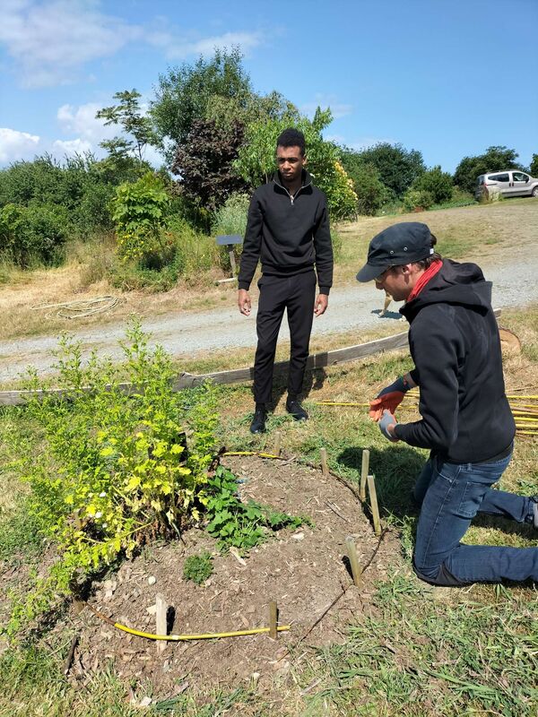 Visite du jardin médiéval Herbarius