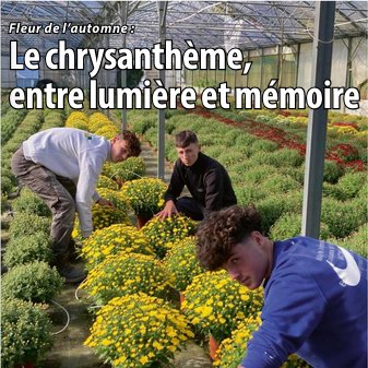 Les Serres du Mené à la une de la semaine