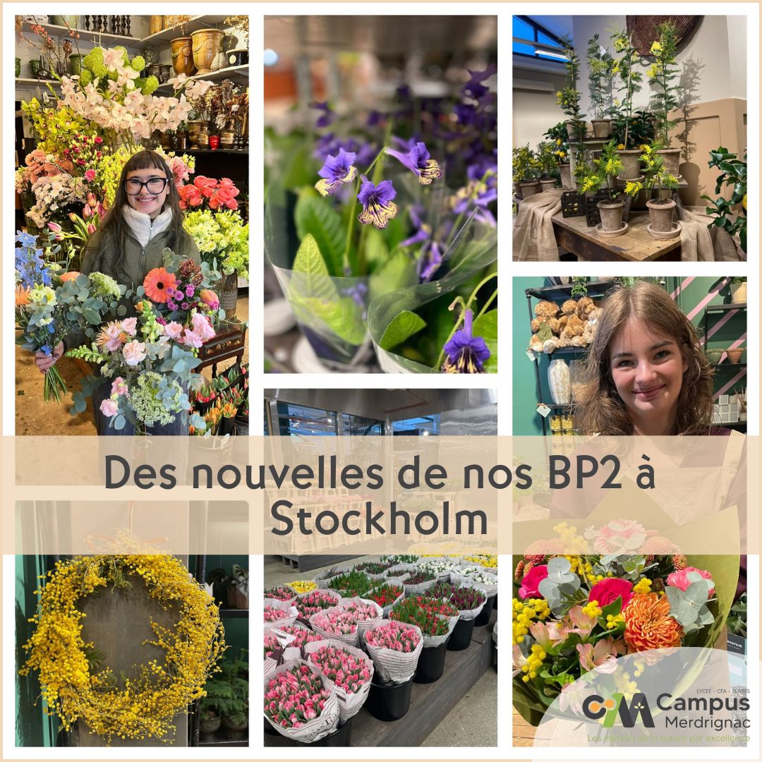Direction la Suède pour les BP fleuristes !